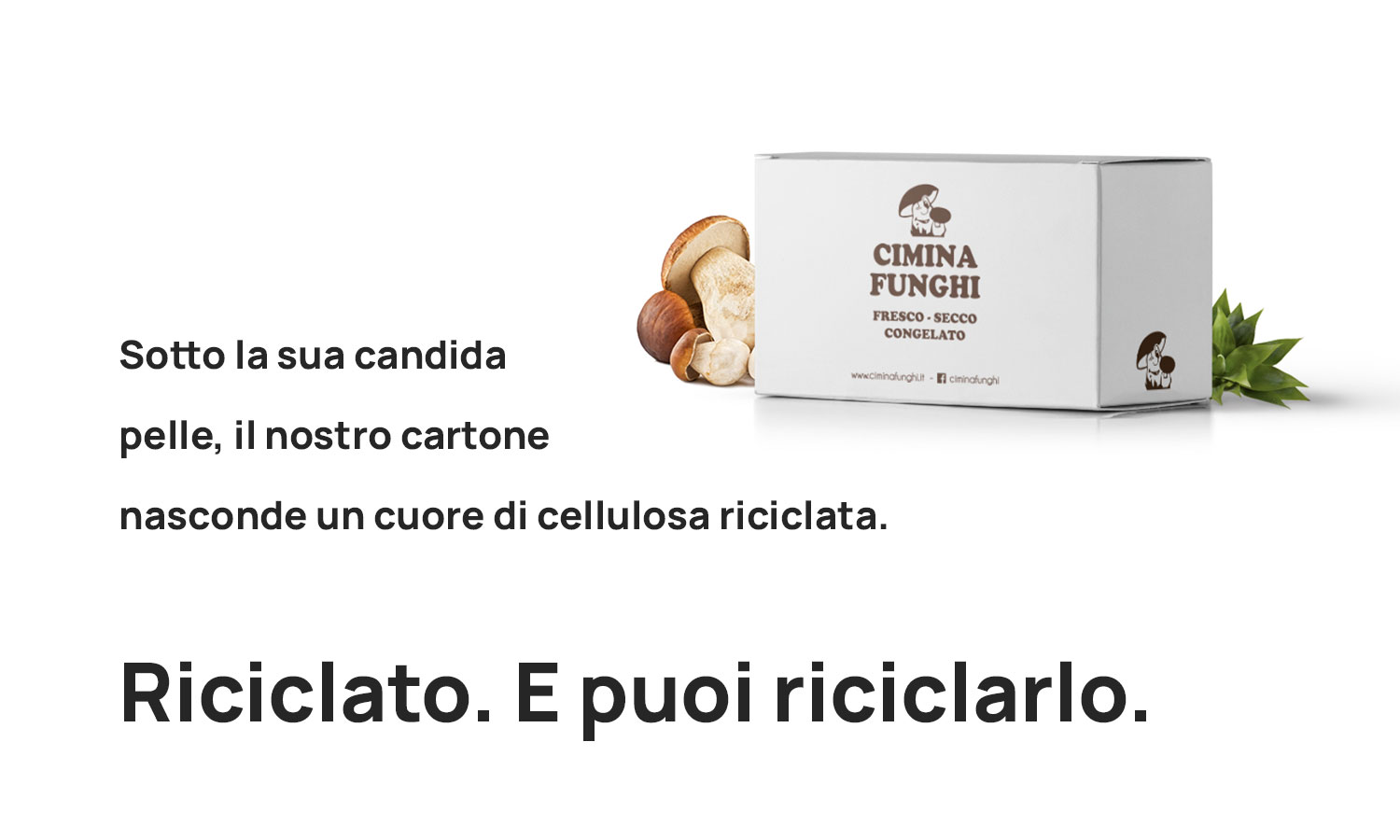 Cartone Cimina Funghi riciclato e riciclabile